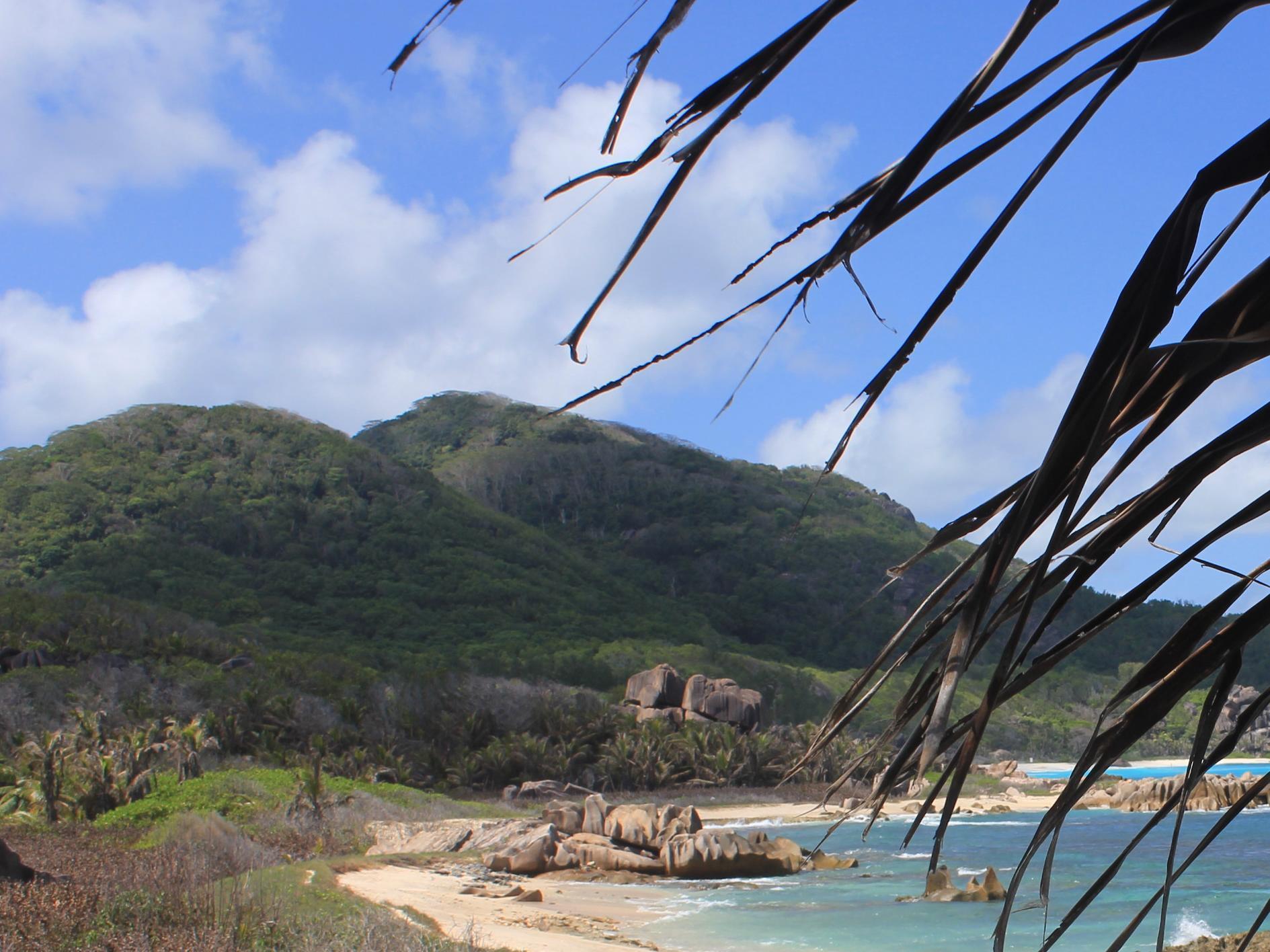 Liane De Mai Bed and Breakfast La Digue Exterior foto