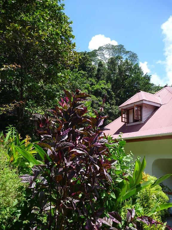 Liane De Mai Bed and Breakfast La Digue Exterior foto
