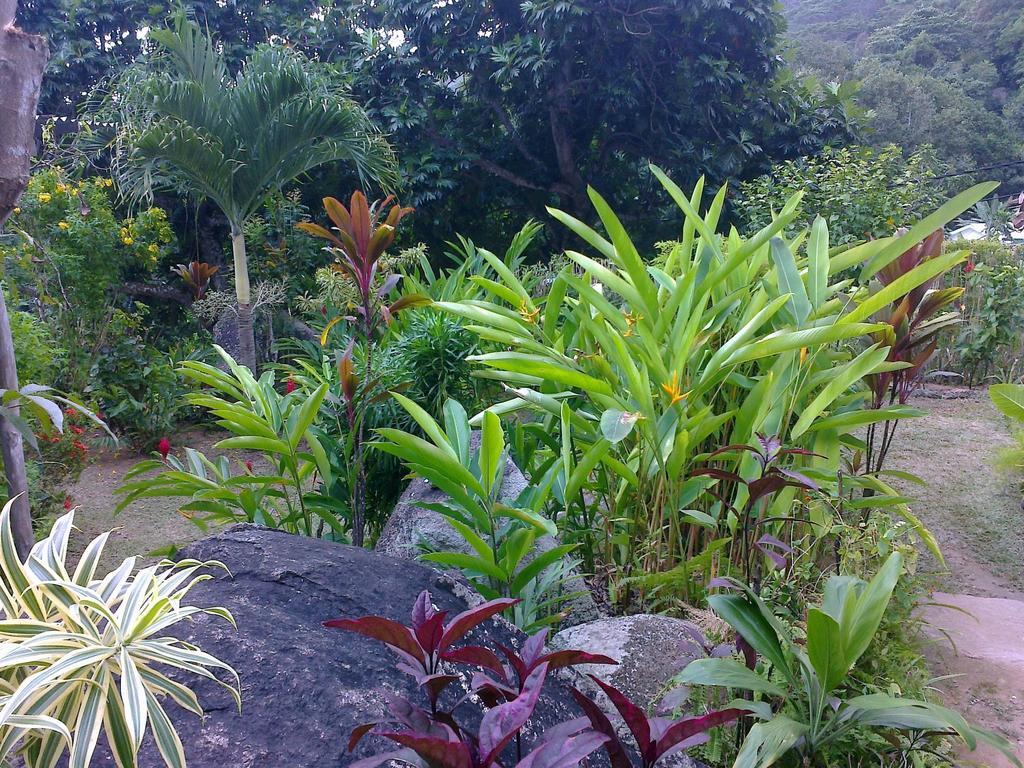 Liane De Mai Bed and Breakfast La Digue Exterior foto